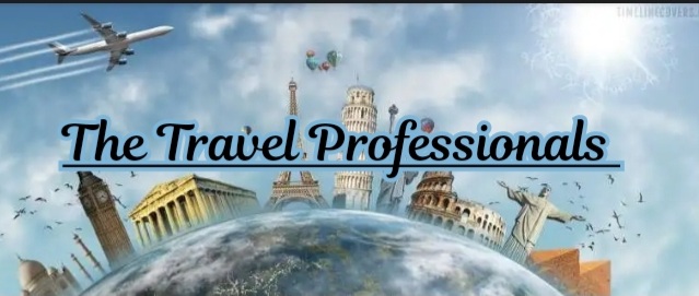 The Travel Professionals